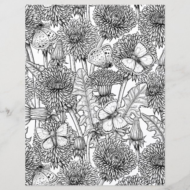 Dandelion meadow in black and white (Front)