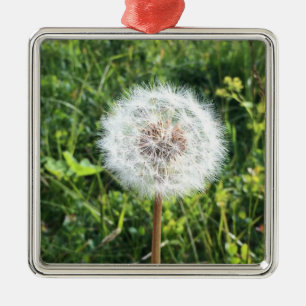 Dandelion metal ornament