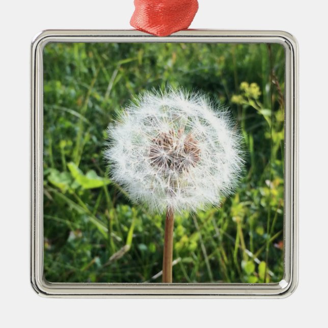 Dandelion metal ornament (Front)