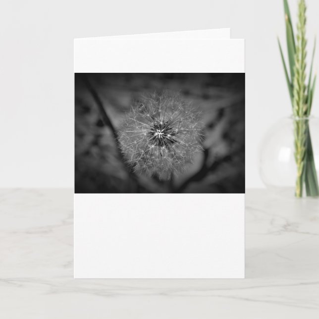 Dandelion - Noir, card (Front)