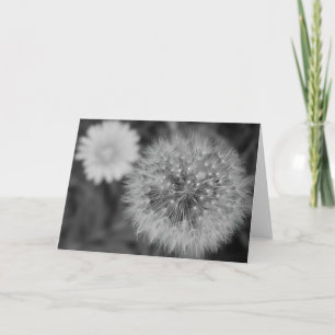 Dandelion / Noir Card