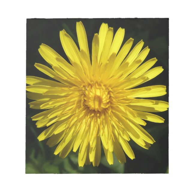 Dandelion Notepad (Front)