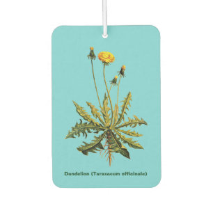 Dandelion On Blue Car Air Freshener