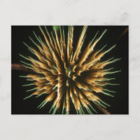 Dandelion on Fire