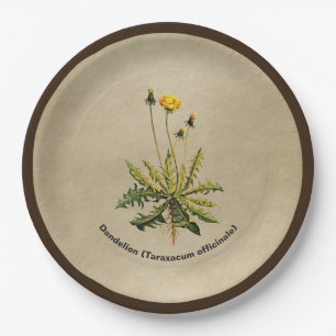 Dandelion On Old Paper Plate