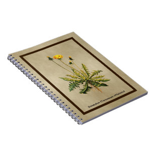 Dandelion On Old Paper Spiral Notebook
