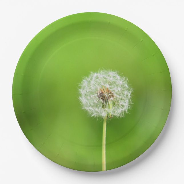 Dandelion Paper Plate (Front)