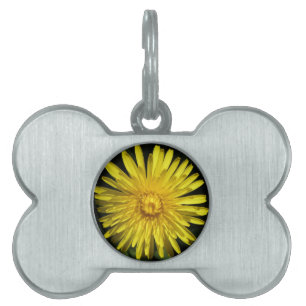 Dandelion Pet Tag