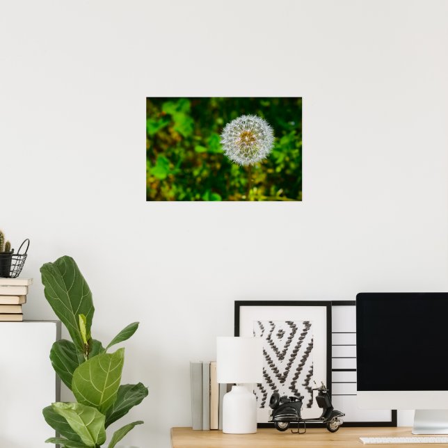 Dandelion, Poster (Home Office)