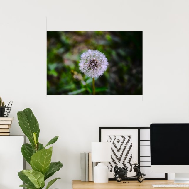 Dandelion, Poster (Home Office)