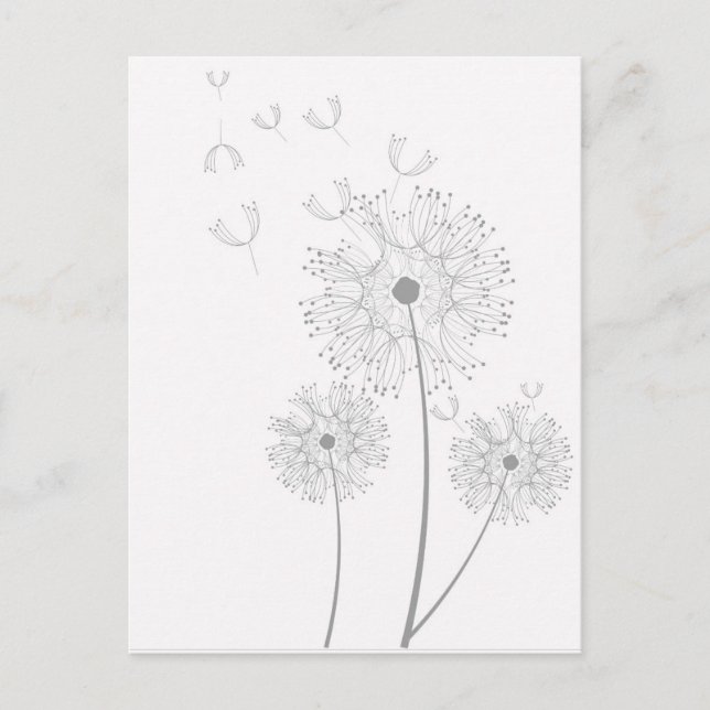 Dandelion pure modern flower art postcard (Front)