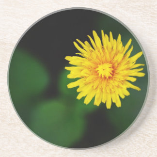 Dandelion Sandstone Coaster