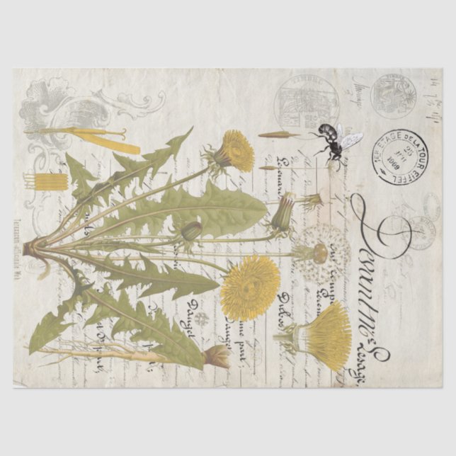 Dandelion Script Decoupage Tissue Sheets Tissue Paper (Front)