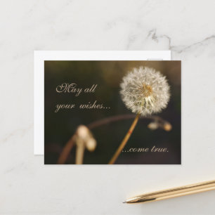 Dandelion Seed Head in Brown Tones  Postcard