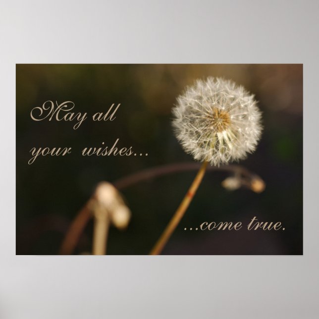 Dandelion Seed Head in Brown Tones Poster (Front)