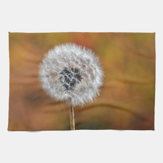 Dandelion seed head in fall tea towel (Horizontal)