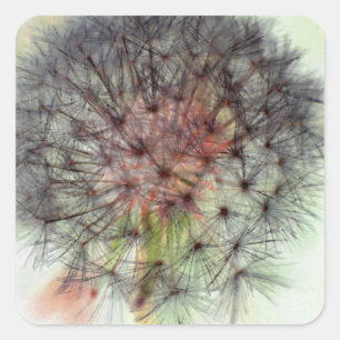Dandelion Seed Head Square Sticker