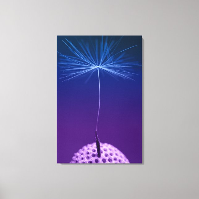Dandelion Seed Macro Photo On Canvas Print (Front)