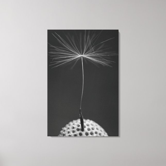 Dandelion Seed Photo on Canvas (Front)