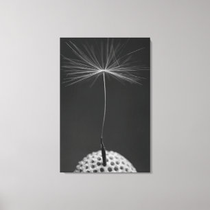 Dandelion Seed Photo on Canvas Print