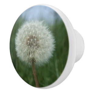 Dandelion Seedhead Dresser Knob