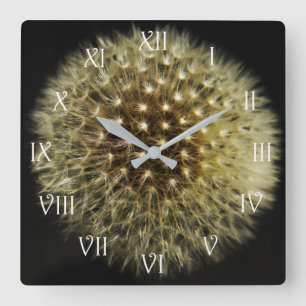 Dandelion Seedhead White Script Roman wccn Square Wall Clock