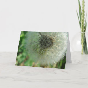 Dandelion Seeds Card
