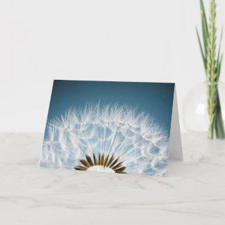 Dandelion Seeds Card