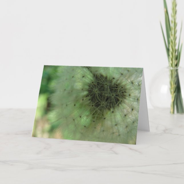 Dandelion Seeds Card (Front)