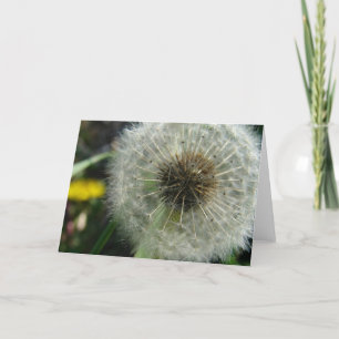 Dandelion Seeds Card