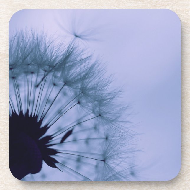 Dandelion Seeds Coaster (Front)