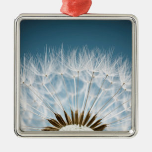 Dandelion Seeds Metal Tree Decoration