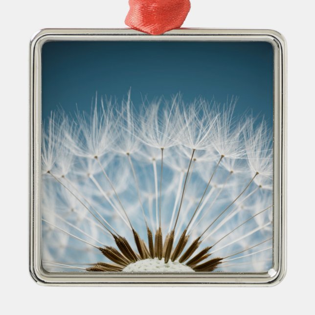 Dandelion Seeds Metal Tree Decoration (Front)