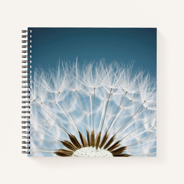 Dandelion Seeds Notebook (Front)