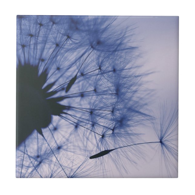 Dandelion Seeds Tile (Front)