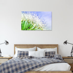 Dandelion Seeds with Dew Droplets Canvas Print