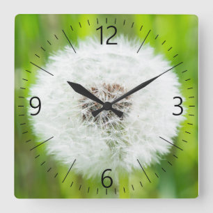 Dandelion Square Wall Clock