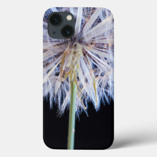 Dandelion (Taraxacum Officinale) Seed Head iPhone 13 Case