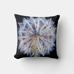Dandelion (Taraxacum Officinale) Seed Head Cushion