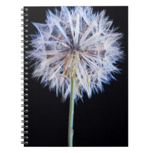 Dandelion (Taraxacum Officinale) Seed Head Notebook