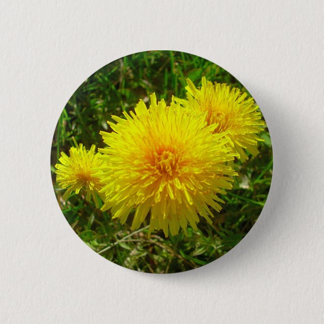 Dandelion Trio 6 Cm Round Badge (Front)