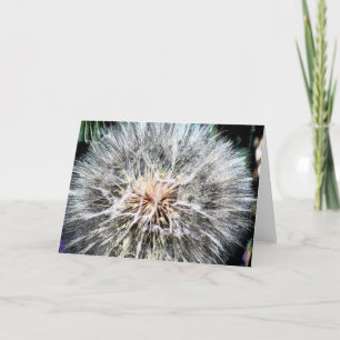 Dandelion Whisps Greeting Card
