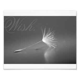 Dandelion Wish Photo