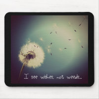 Dandelion Wishes
