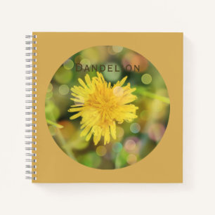 Dandelion with Colourful Bokeh on Indian Yellow Notebook