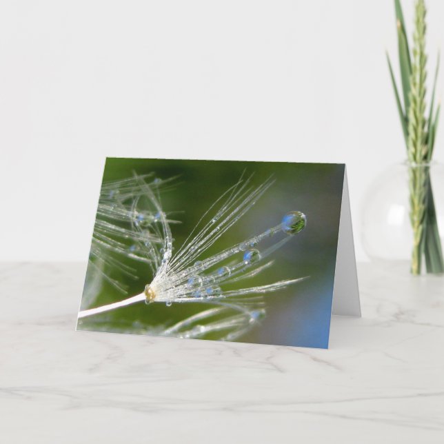 Dandelion With Dew Poetry of Nature Card (Front)