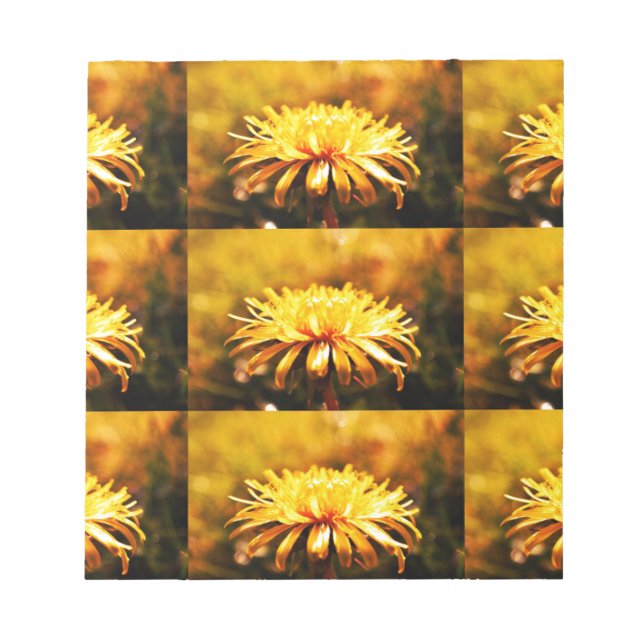 Dandelion Yellow Blossoms Flowers Vines Spring Notepad (Front)