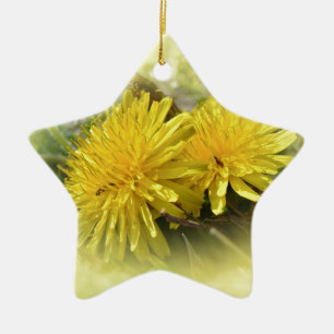 Dandelions - A Sunny Hi Ceramic Tree Decoration