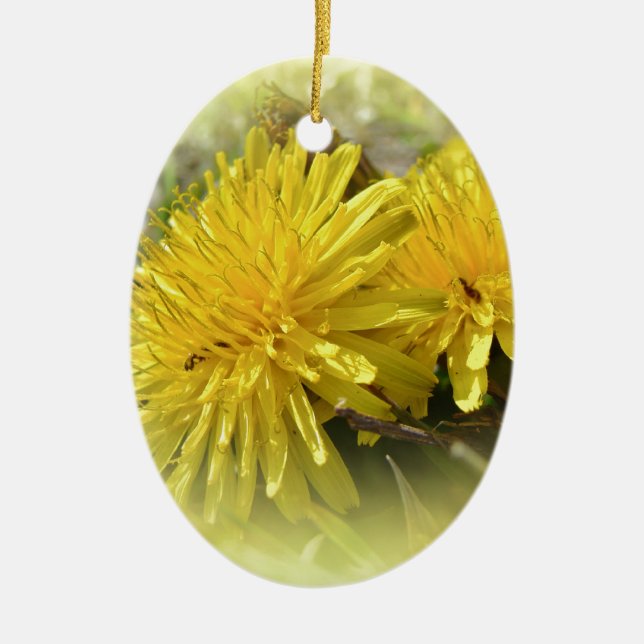 Dandelions - A Sunny Hi Ceramic Tree Decoration (Front)