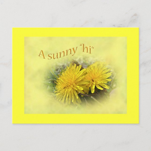 Dandelions - A Sunny Hi Postcard (Front)